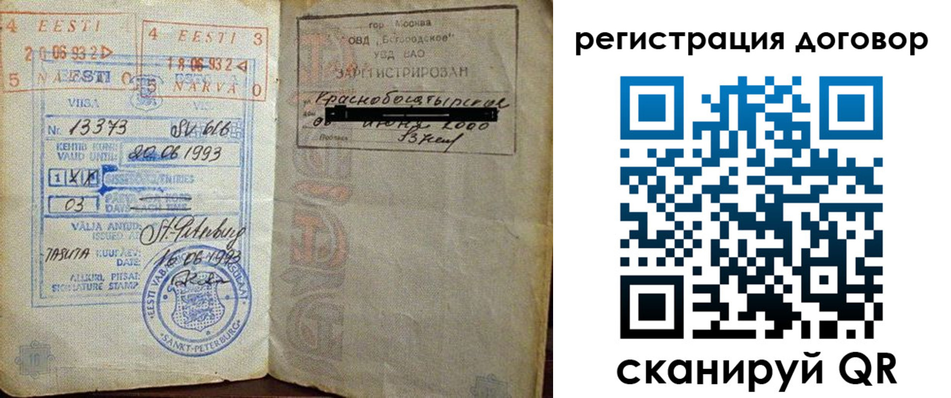 прописка в Светлогорске