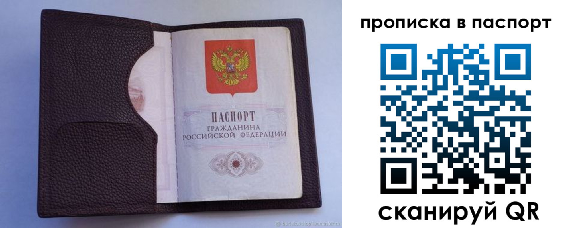 прописка законно в Светлогорске