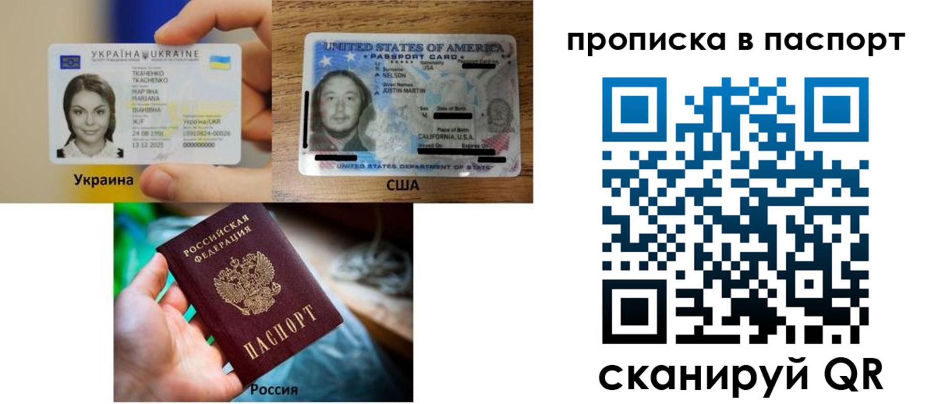 прописка от собственника в Светлогорске